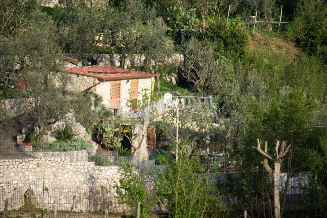 Cynara Holiday House Villa Massa Lubrense Esterno foto